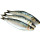 Frisch gefrorene Meeresfrüchte Sardinen alle Arten von Sardinenfischen